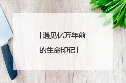 遇见亿万年前的生命印记