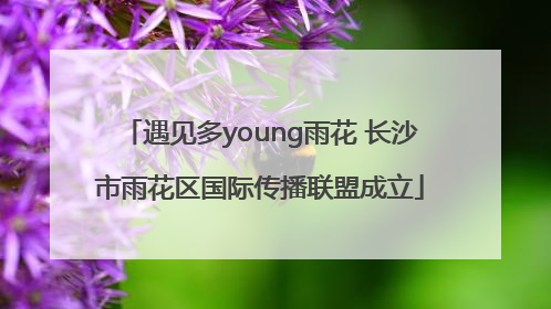 遇见多young雨花 长沙市雨花区国际传播联盟成立
