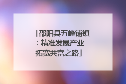 邵阳县五峰铺镇：精准发展产业 拓宽共富之路