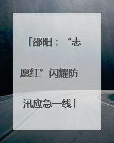 邵阳：“志愿红”闪耀防汛应急一线