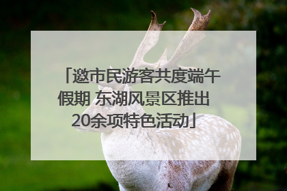 邀市民游客共度端午假期 东湖风景区推出20余项特色活动