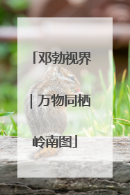 邓勃视界｜万物同栖岭南图