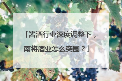 酱酒行业深度调整下，南将酒业怎么突围？