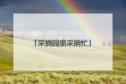 采摘园里采摘忙