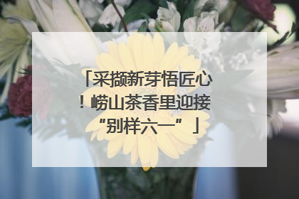 采撷新芽悟匠心！崂山茶香里迎接“别样六一”