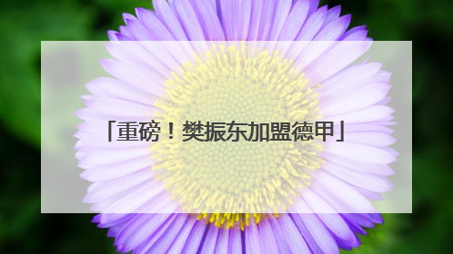 重磅！樊振东加盟德甲