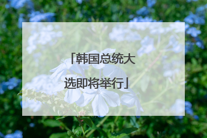 韩国总统大选即将举行