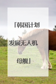 韩国计划发展无人机母舰