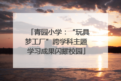 青园小学：“玩具梦工厂”跨学科主题学习成果闪耀校园