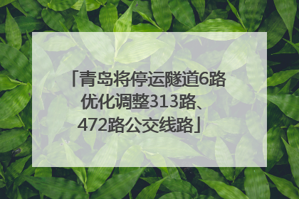青岛将停运隧道6路 优化调整313路、472路公交线路