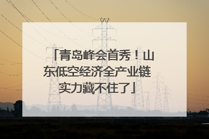 青岛峰会首秀！山东低空经济全产业链实力藏不住了