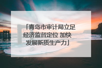 青岛市审计局立足经济监督定位 加快发展新质生产力