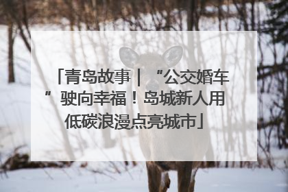 青岛故事｜“公交婚车”驶向幸福！岛城新人用低碳浪漫点亮城市