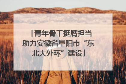 青年骨干挺膺担当 助力安徽省阜阳市“东北大外环”建设