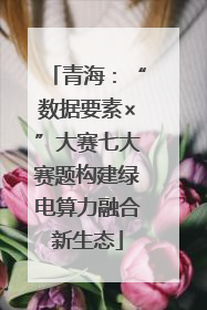 青海：“数据要素×”大赛七大赛题构建绿电算力融合新生态