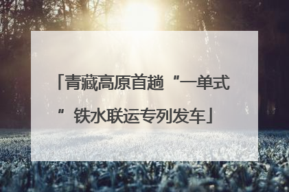 青藏高原首趟“一单式”铁水联运专列发车
