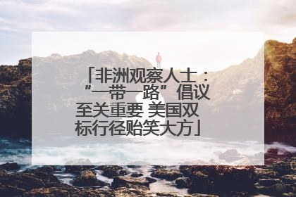 非洲观察人士：“一带一路”倡议至关重要 美国双标行径贻笑大方