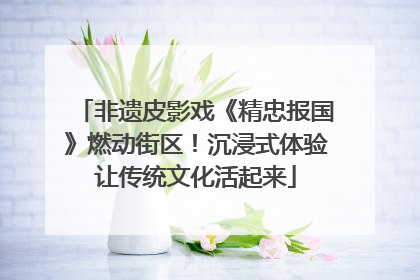 非遗皮影戏《精忠报国》燃动街区！沉浸式体验让传统文化活起来