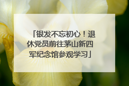 银发不忘初心！退休党员前往茅山新四军纪念馆参观学习