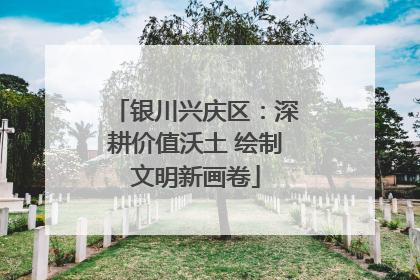 银川兴庆区：深耕价值沃土 绘制文明新画卷