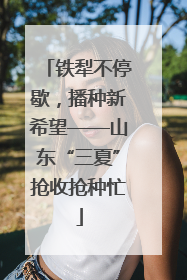 铁犁不停歇，播种新希望——山东“三夏”抢收抢种忙