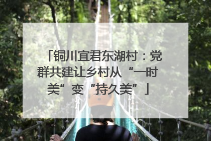 铜川宜君东湖村：党群共建让乡村从“一时美”变“持久美”