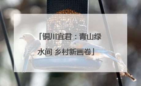 铜川宜君：青山绿水间 乡村新画卷