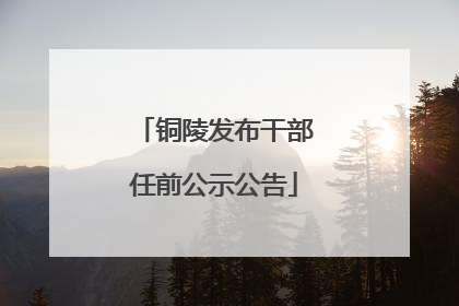 铜陵发布干部任前公示公告