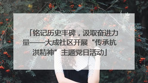 铭记历史丰碑，汲取奋进力量——大成社区开展“传承抗洪精神”主题党日活动