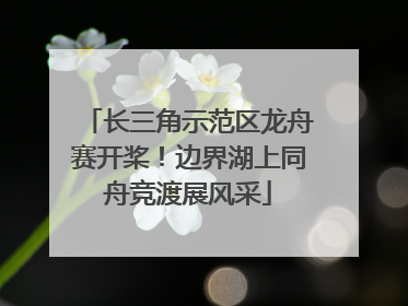 长三角示范区龙舟赛开桨！边界湖上同舟竞渡展风采