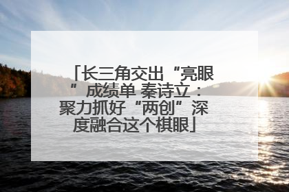 长三角交出“亮眼”成绩单 秦诗立：聚力抓好“两创”深度融合这个棋眼