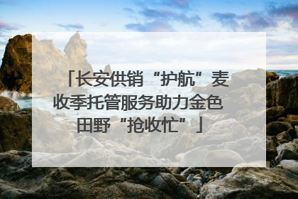 长安供销“护航”麦收季托管服务助力金色田野“抢收忙”