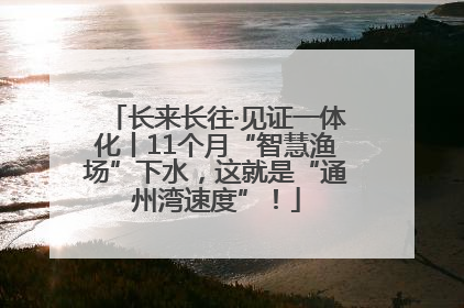 长来长往·见证一体化丨11个月“智慧渔场”下水，这就是“通州湾速度”！