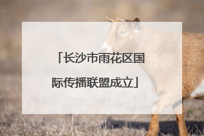 长沙市雨花区国际传播联盟成立