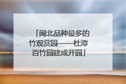 闽北品种最多的竹观赏园——杜潭百竹园建成开园