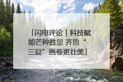 闪电评论｜科技赋能芒种胜景 齐鲁“三夏”画卷更壮美