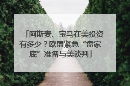 阿斯麦、宝马在美投资有多少？欧盟紧急“盘家底”准备与美谈判