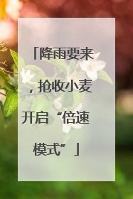 降雨要来，抢收小麦开启“倍速模式”