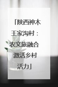 陕西神木王家沟村：农文旅融合 激活乡村活力
