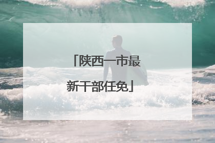 陕西一市最新干部任免
