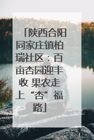 陕西合阳同家庄镇柏瑞社区：百亩杏园迎丰收 果农走上“杏”福路