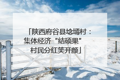 陕西府谷县埝墕村：集体经济“结硕果” 村民分红笑开颜
