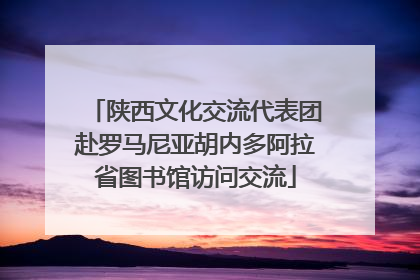 陕西文化交流代表团赴罗马尼亚胡内多阿拉省图书馆访问交流