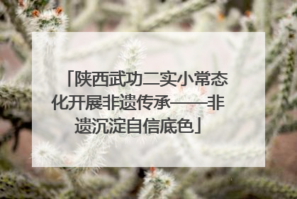 陕西武功二实小常态化开展非遗传承——非遗沉淀自信底色