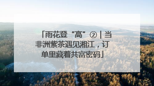 雨花登“高”②｜当非洲紫茶遇见湘江，订单里藏着共富密码