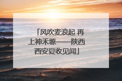 风吹麦浪起 再上神禾塬——陕西西安夏收见闻