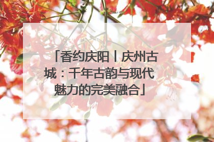 香约庆阳丨庆州古城：千年古韵与现代魅力的完美融合