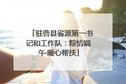 驻曹县省派第一书记和工作队：粽情端午·暖心帮扶
