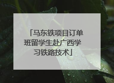 马东铁项目订单班留学生赴广西学习铁路技术