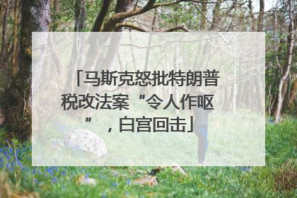 马斯克怒批特朗普税改法案“令人作呕”，白宫回击